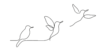 Perspektiv Vakantiewoning